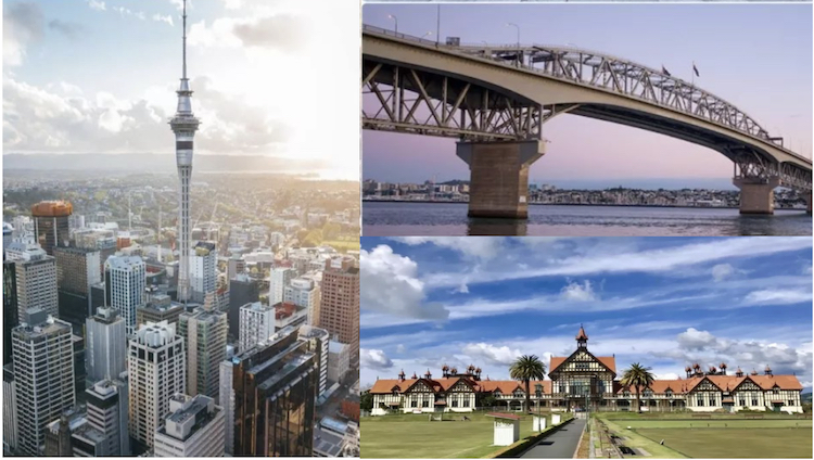 新西兰市区.jpg